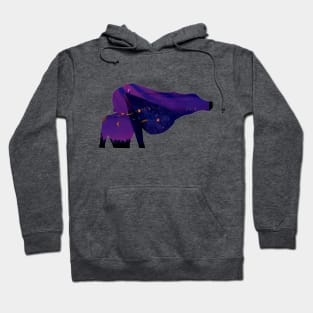 Colors of the Wind Hoodie